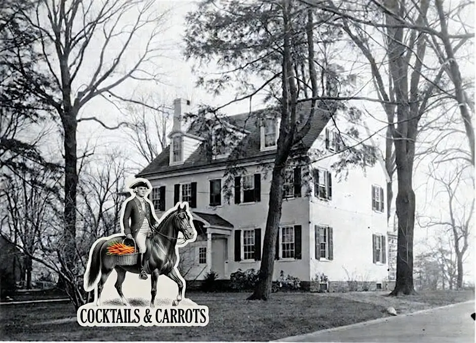 Cocktails and Carrots