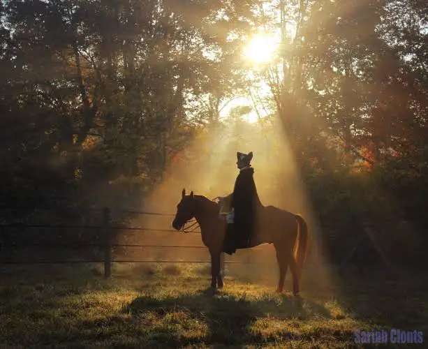 Meet George Washington and His Horse